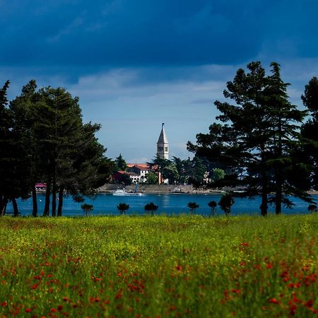 Belvedere Holidays Villas Novigrad Istria Exteriör bild